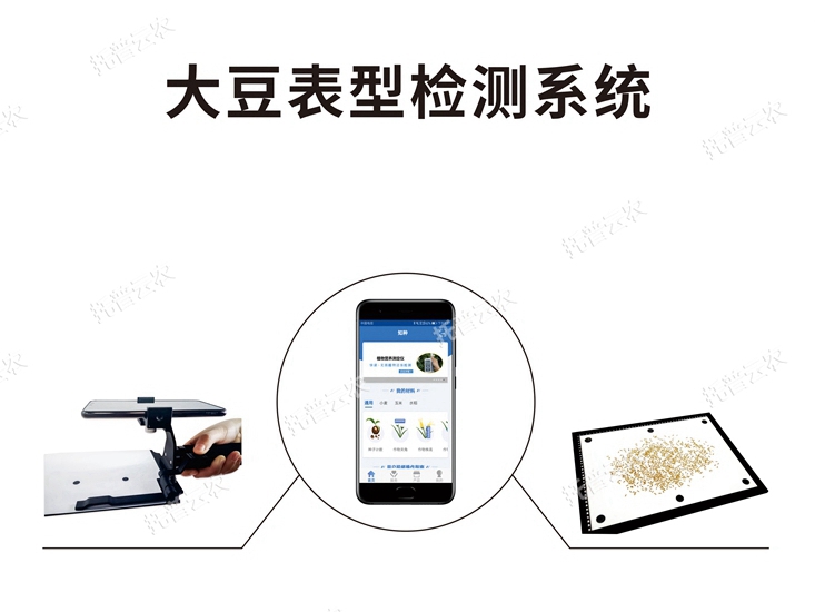 大豆表型檢測系統